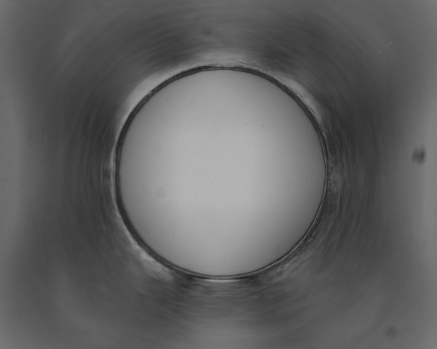 X0000091071343200708271208