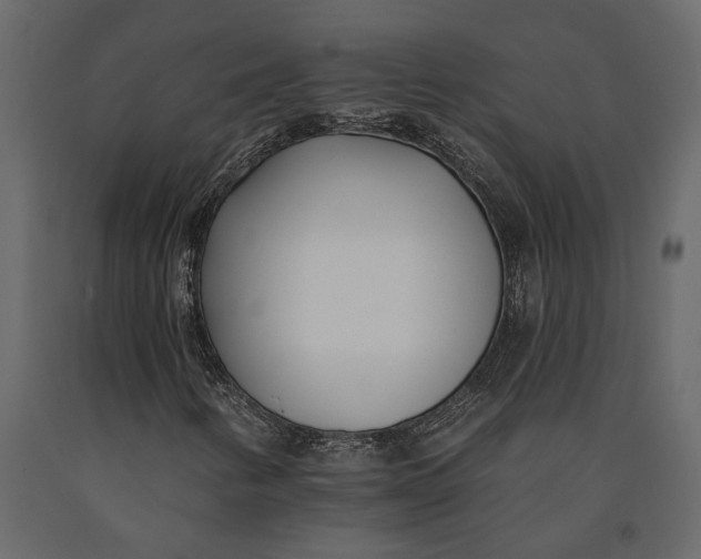 X0000091071346200708271207