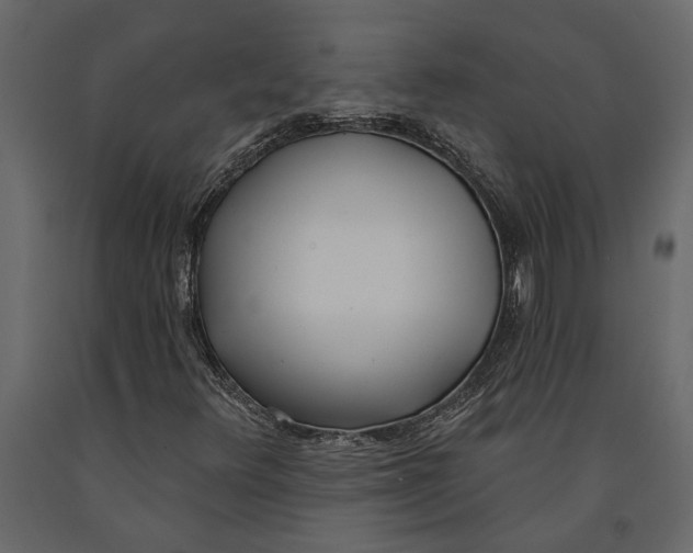 X0000091071348200708271207