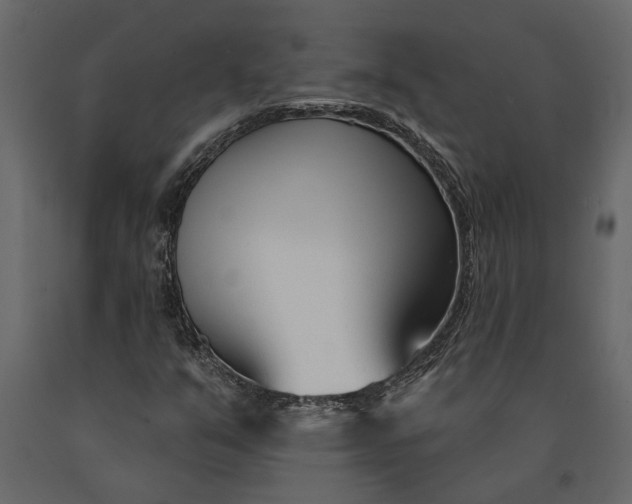 X0000091071351200708271207