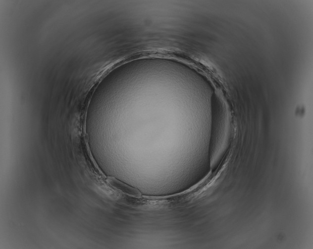 X0000091071353200708271207