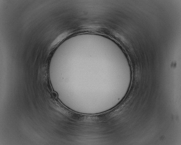 X0000091071354200708271207