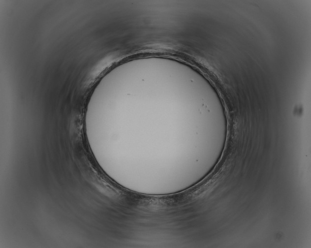 X0000091071355200708271207