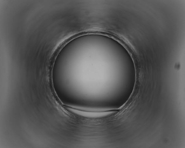 X0000091071356200708271207