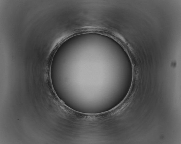 X0000091071357200708271207