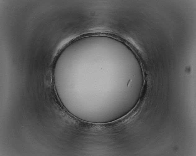 X0000091071358200708271207