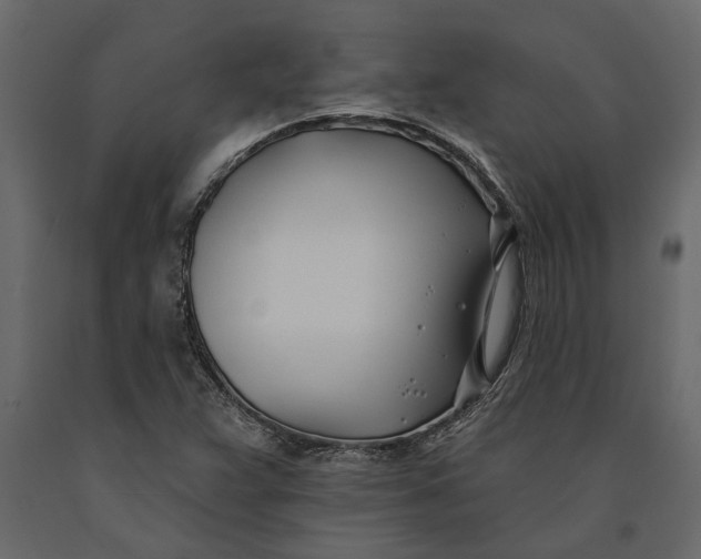 X0000091071359200708271207