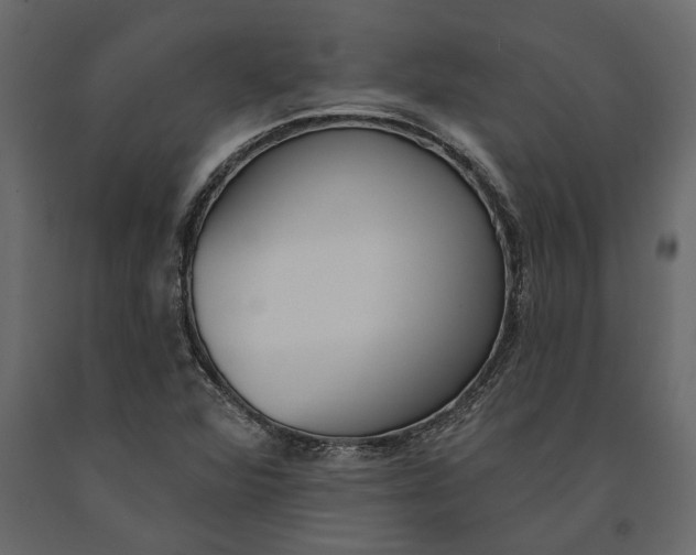 X0000091071360200708271207