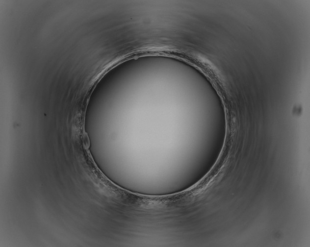 X0000091071361200708271207