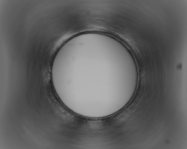 X0000091071363200708271207