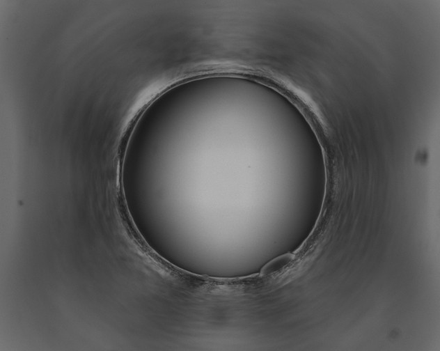 X0000091071365200708271207