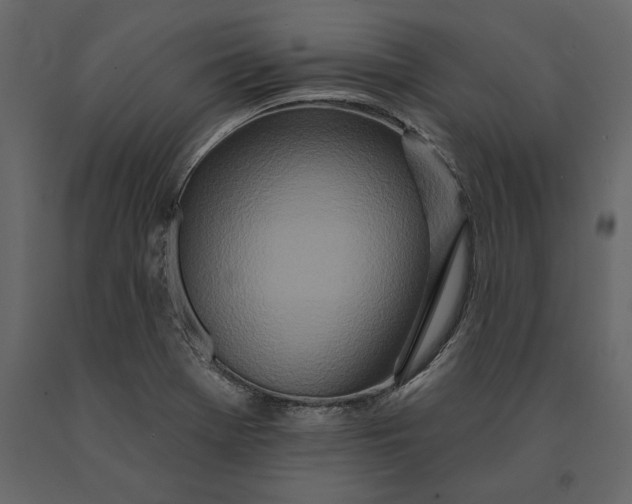 X0000091071369200708271207