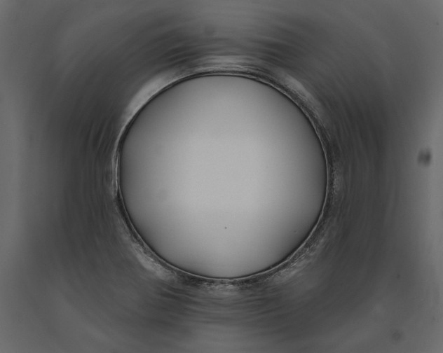 X0000091071370200708271207