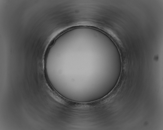 X0000091071372200708271207