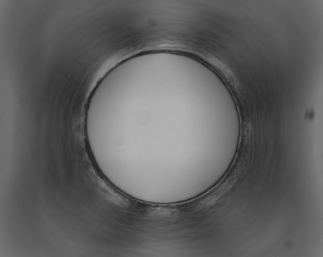 X0000091071374200708271207