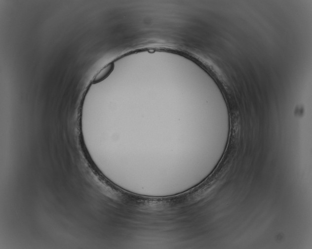 X0000091071375200708271207