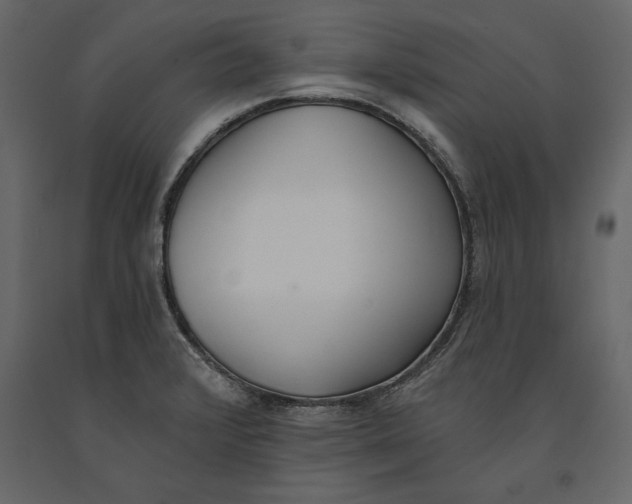 X0000091071376200708271207