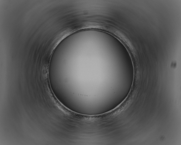 X0000091071377200708271207