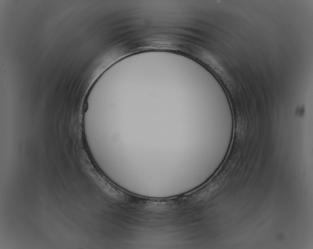 X0000091071378200708271207