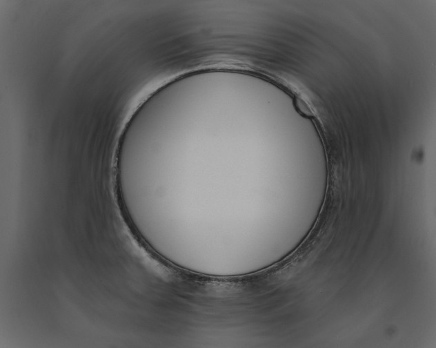 X0000091071379200708271207