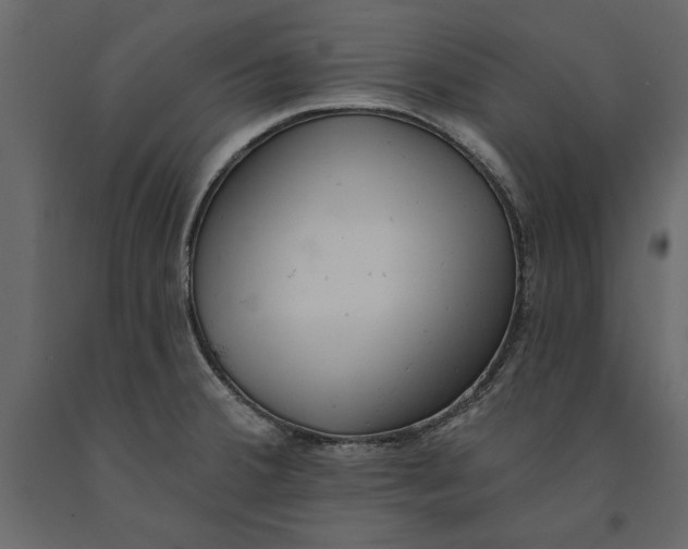 X0000091071380200708271207