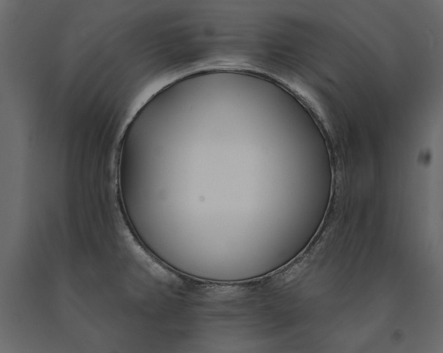 X0000091071382200708271207