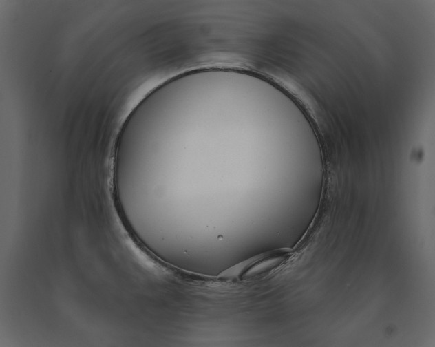 X0000091071383200708271207