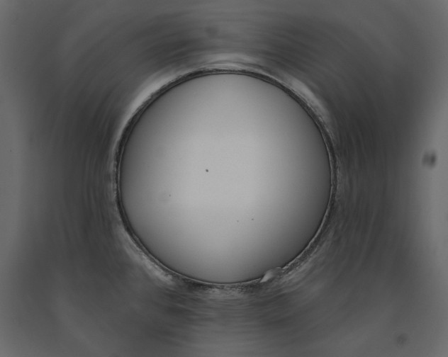 X0000091071384200708271207