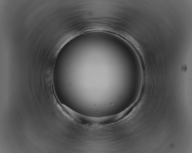 X0000091071385200708271207