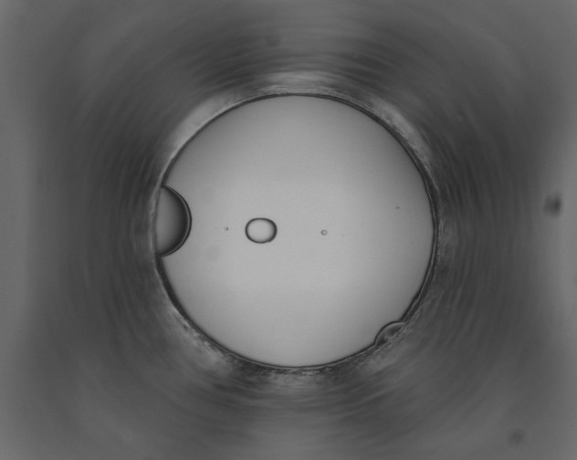 X0000091071386200708271207