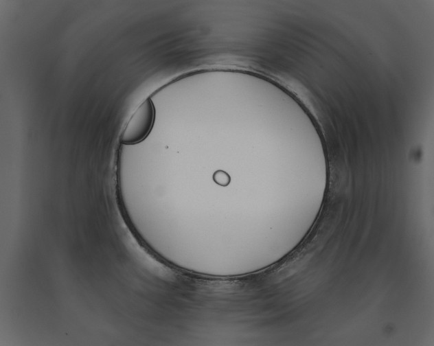 X0000091071387200708271207