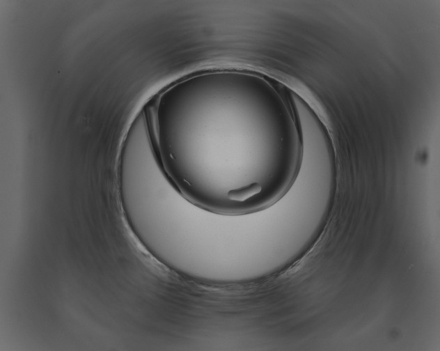 X0000091071388200708271207