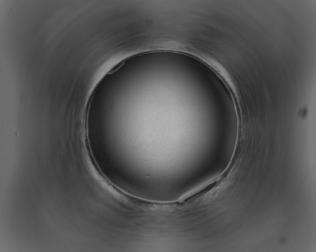 X0000091071389200708271207