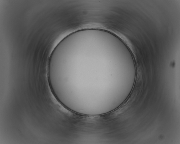 X0000091071390200708271207