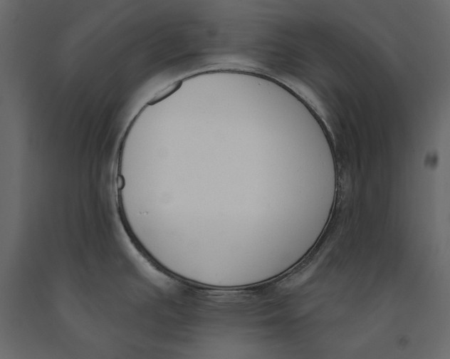 X0000091071391200708271207