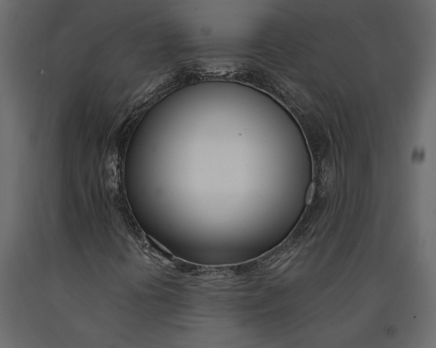 X0000091071394200708271206