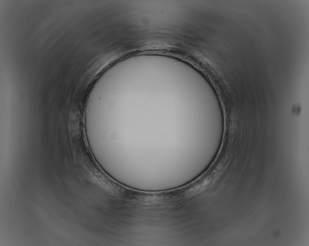 X0000091071401200708271206