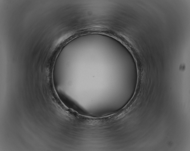 X0000091071402200708271206