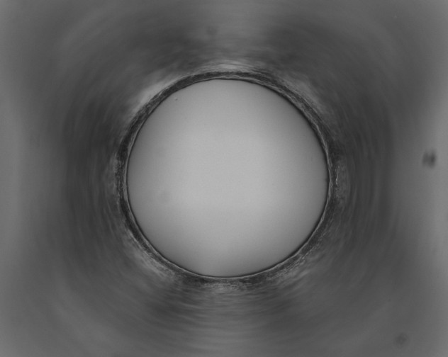 X0000091071404200708271206