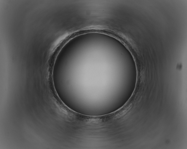 X0000091071406200708271206