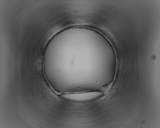 X0000091071409200708271206