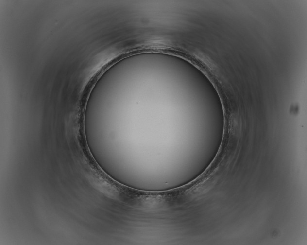 X0000091071410200708271206