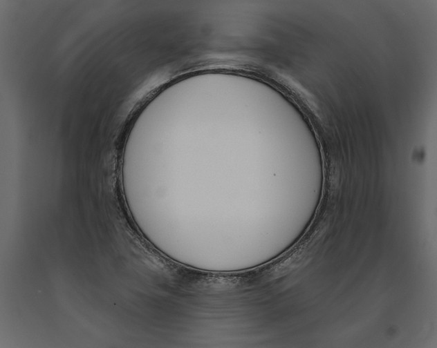 X0000091071411200708271206