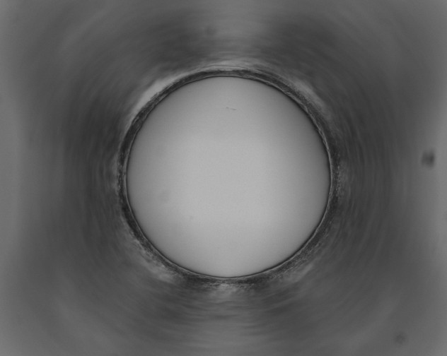 X0000091071412200708271206