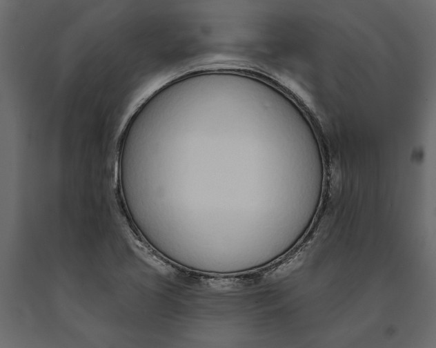 X0000091071413200708271206