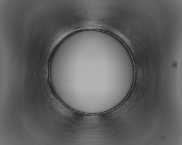 X0000091071415200708271207