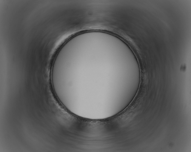 X0000091071416200708271207