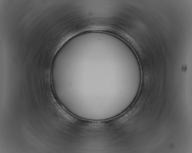 X0000091071417200708271207