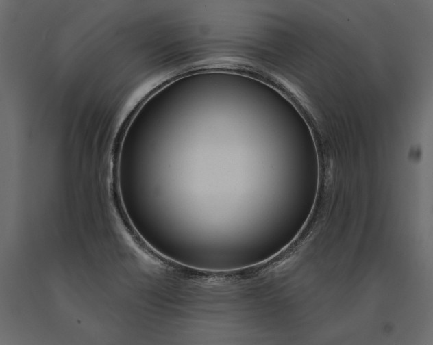 X0000091071418200708271207