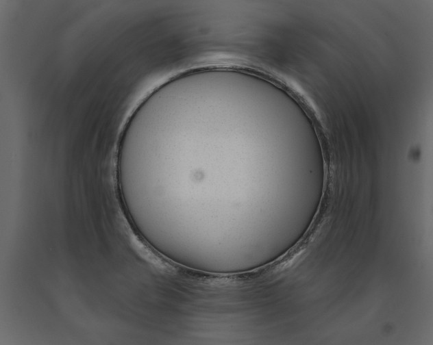 X0000091071421200708271207